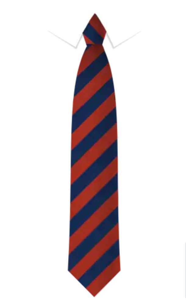 Ruth Gorse Academy School Tie