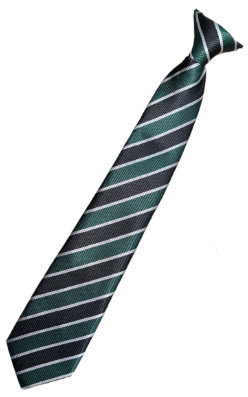 Roundhay High School Clip on Tie Year 7-10