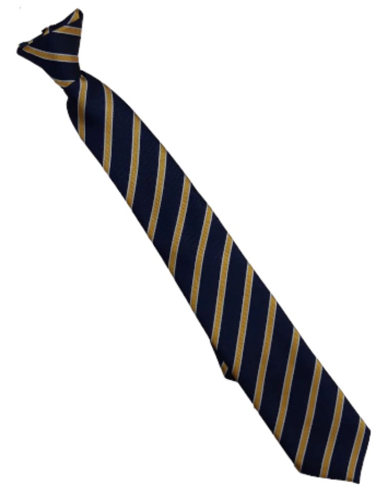 Temple Learning High School Tie